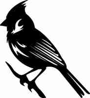 Vector un pájaro negro con una cabeza negra y una cola de plumas en él