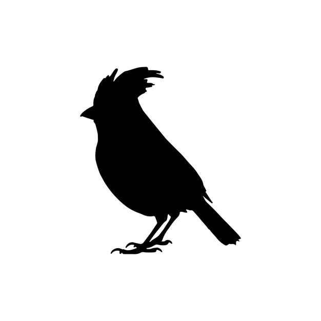 Vector un pájaro negro con una cola negra y una silueta negra de un cuervo en un fondo blanco