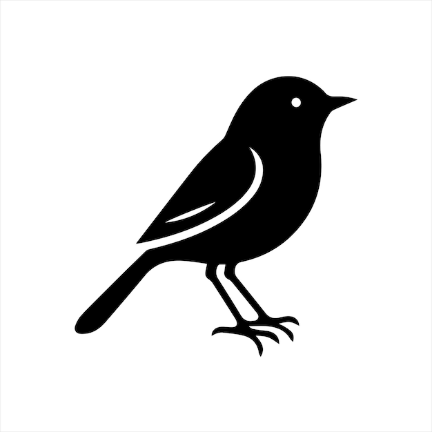 un pájaro negro con un fondo blanco que dice pájaro