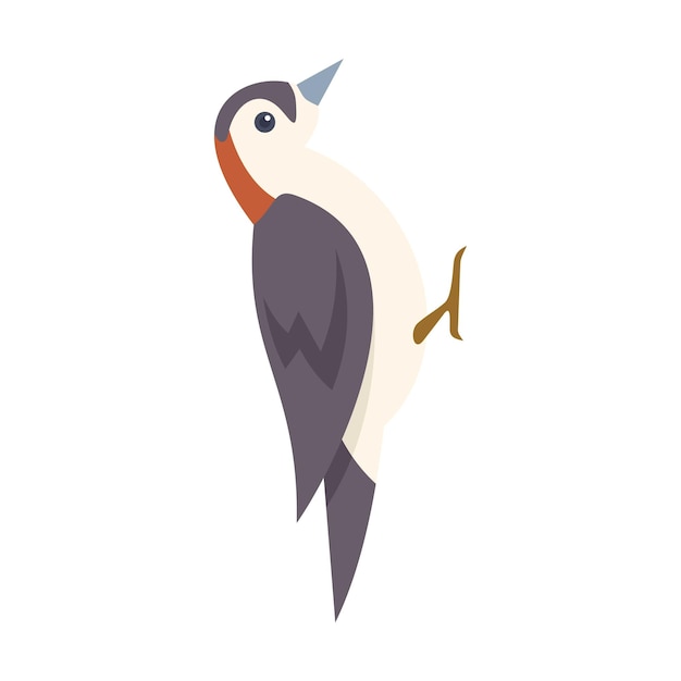 Pájaro pájaro carpintero sentado y mirando hacia arriba ilustración