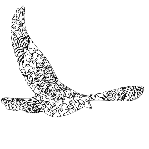 Pájaro de paloma zentangle aislado volando