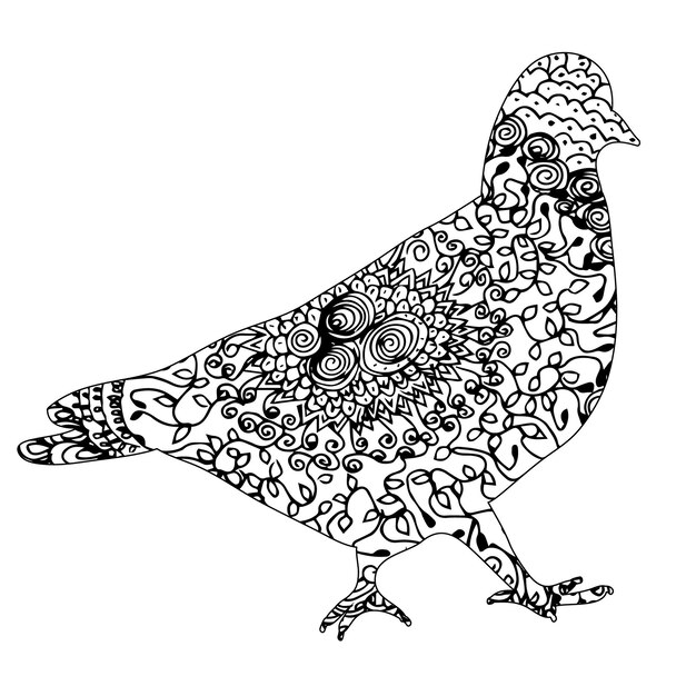 pájaro paloma zentangle