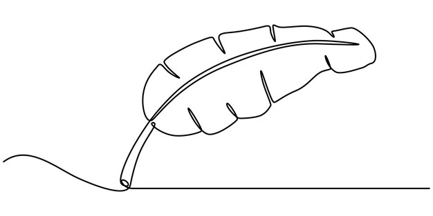 Pájaro del Paraíso Hoja de plátano dibujo de línea continua Hoja de banana dibujo de linea continua hoja de palma