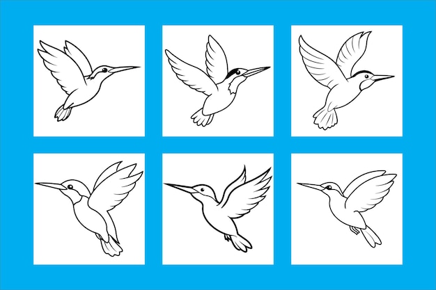 El pájaro pescador volando