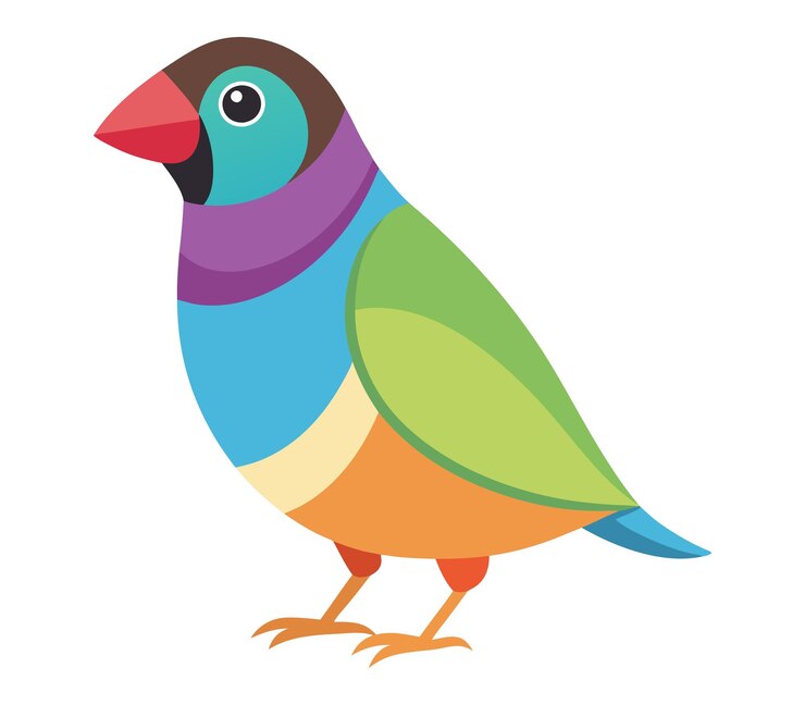 Vector pájaro pinzón de gould estilo plano aislado en fondo blanco ilustración vectorial