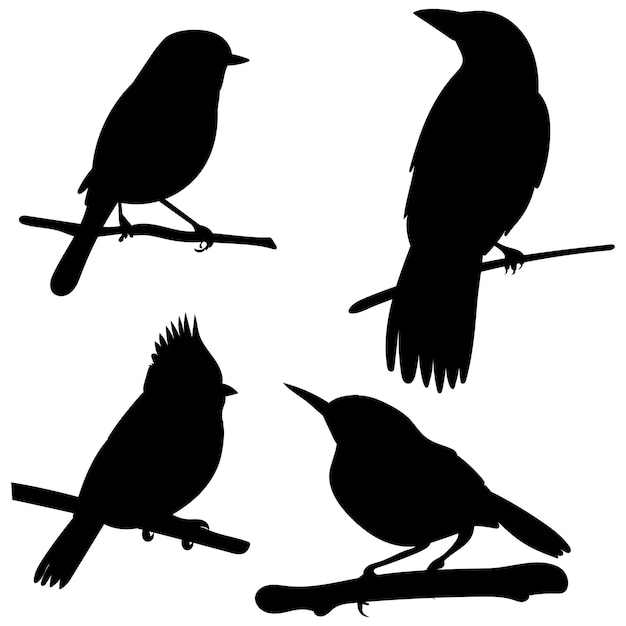 Pájaro, en, un, rama, negro, silueta, aislado, vector