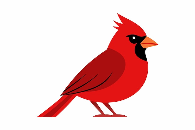 un pájaro rojo y negro con un pico rojo y un pico negro