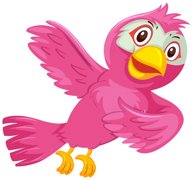 Un pájaro rosado en el fondo blanco