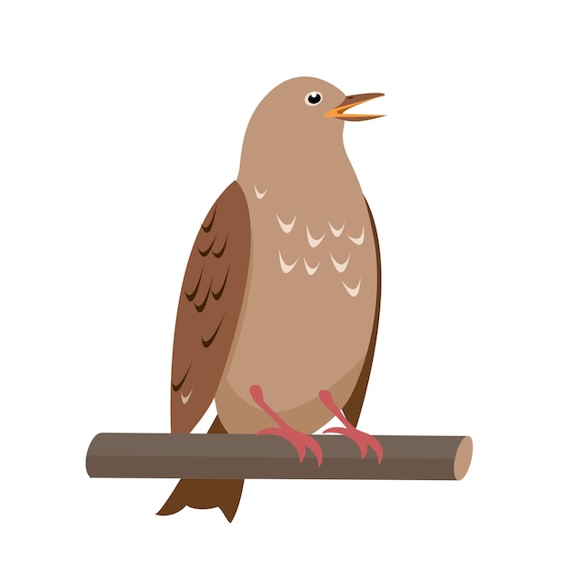 Pájaro ruiseñor cantando sentado en un brunch de árbol