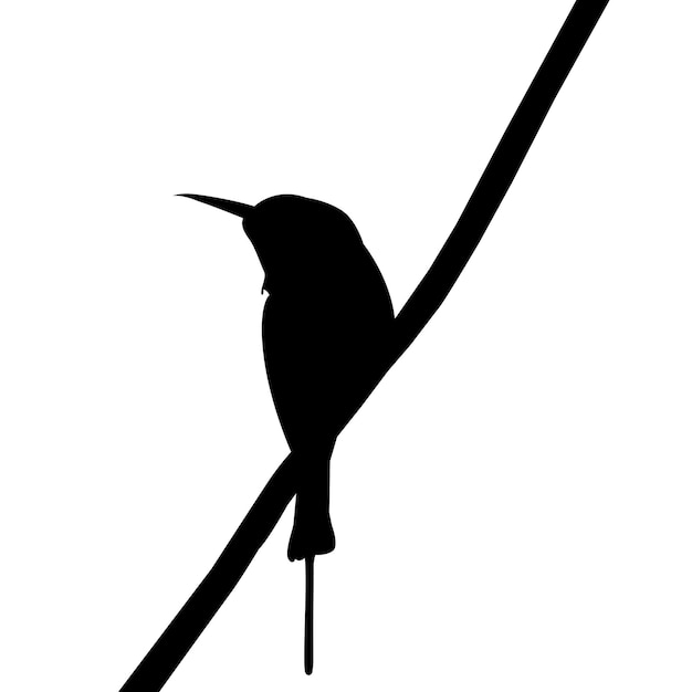 Pájaro shillouette y ilustración vectorial