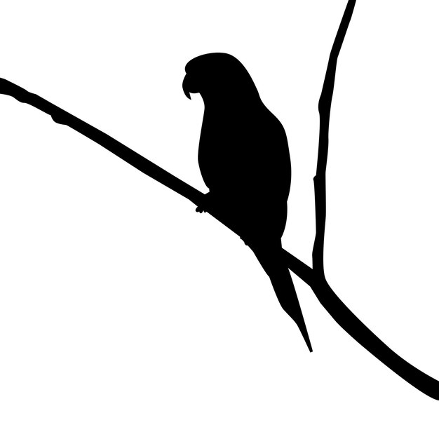 pájaro shillouette y ilustración vectorial