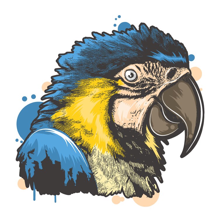 Vector pájaro a todo color