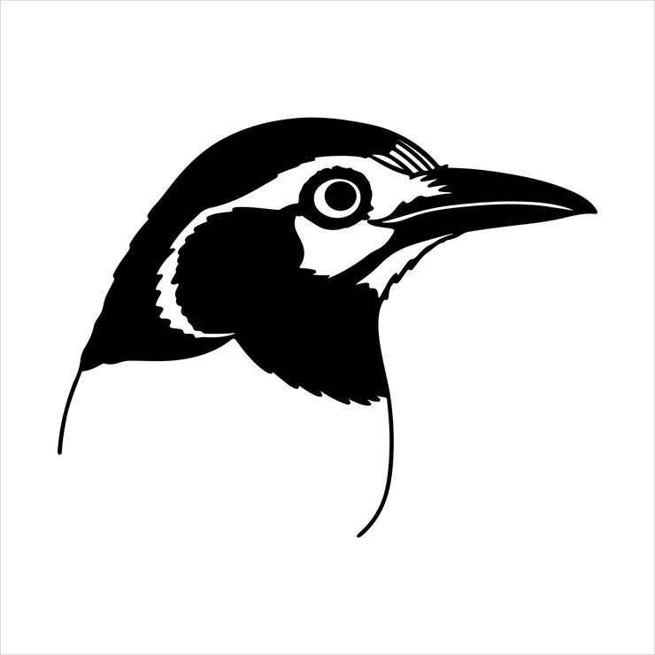 Vector el pájaro tropical de colores de américa central y del sur en su hábitat natural