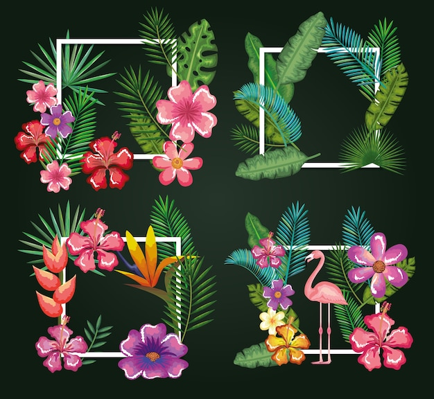 Pájaro tropical y exótico con diseño de ilustración de vector de decoración floral