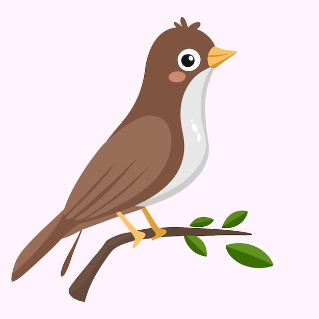 Pájaro vector