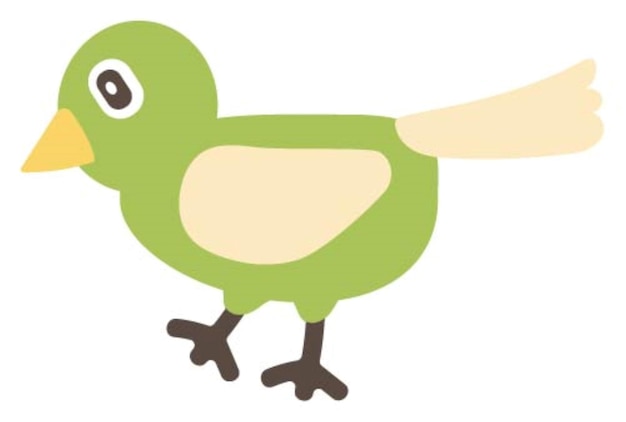 un pájaro verde con un pico amarillo y un pico verde