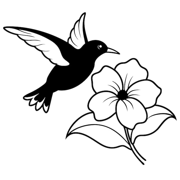 Pájaro volando en la flor de Phlox Ilustración vectorial 2D en blanco y negro sobre fondo blanco