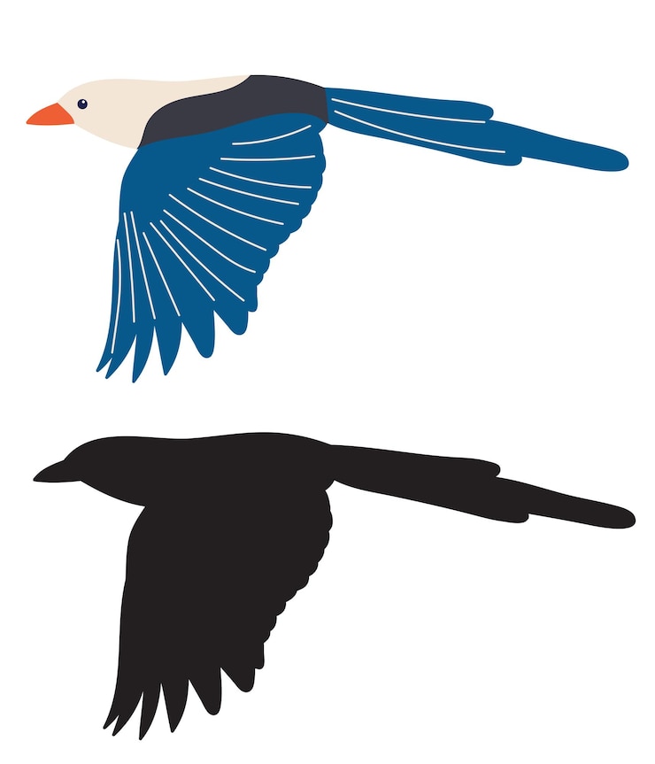 Vector pájaro volando en un vector de fondo blanco