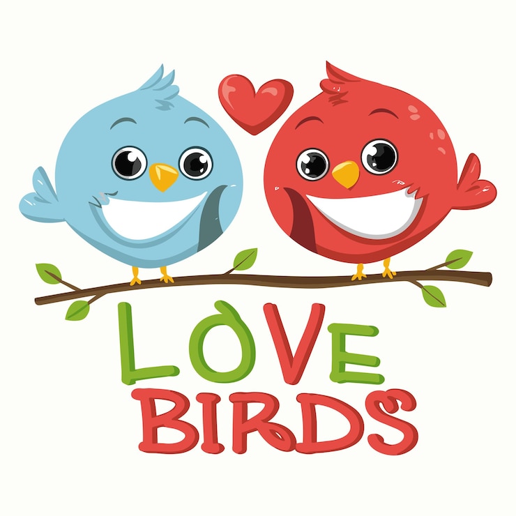 Vector pájaros del amor