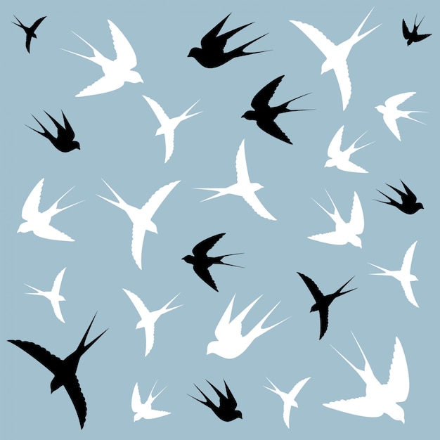 pájaros en el cielo