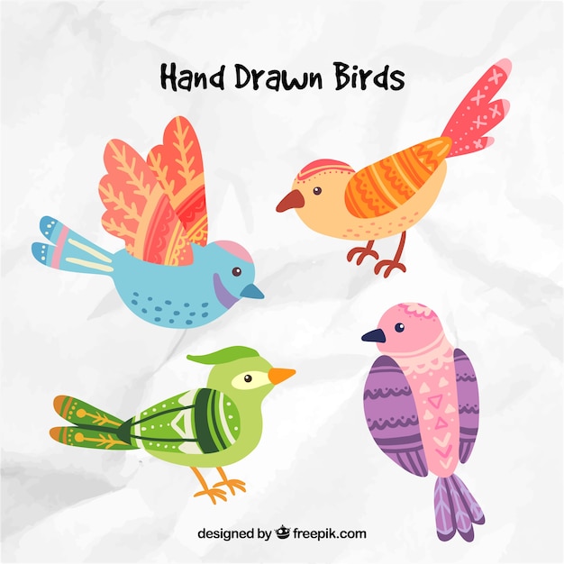 Pájaros dibujados a mano