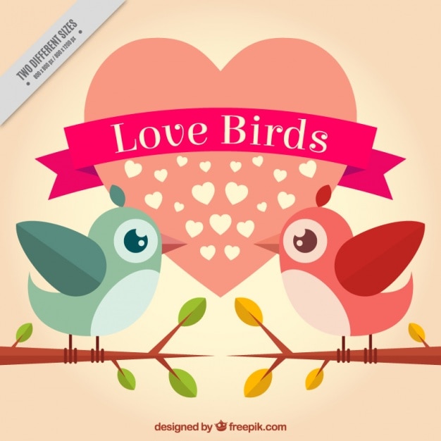 Vector pájaros enamorados con corazón de fondo