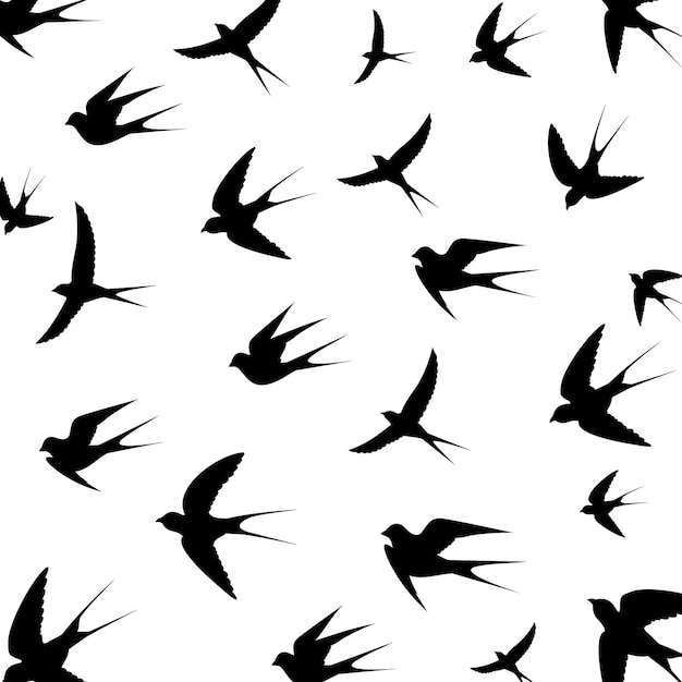 Los pájaros están volando 1