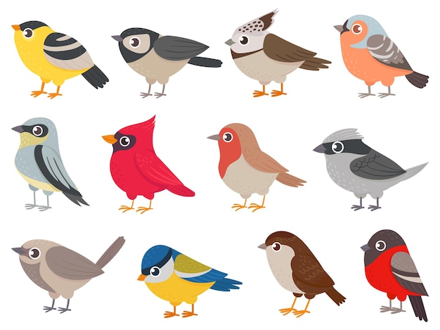 Pájaros lindos. Dibujados a mano pajaritos coloridos, personajes de animales para tarjetas impresas, decoración de jardines. Elementos para el conjunto de vectores de carteles infantiles. Dibujo de la naturaleza del pájaro, ilustración del zoológico natural de la fauna animal