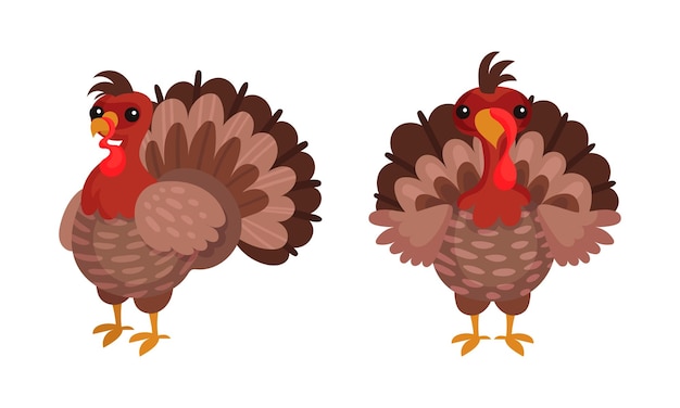 Los pájaros de pavo se establecen Feliz día de Acción de Gracias símbolos ilustración vectorial