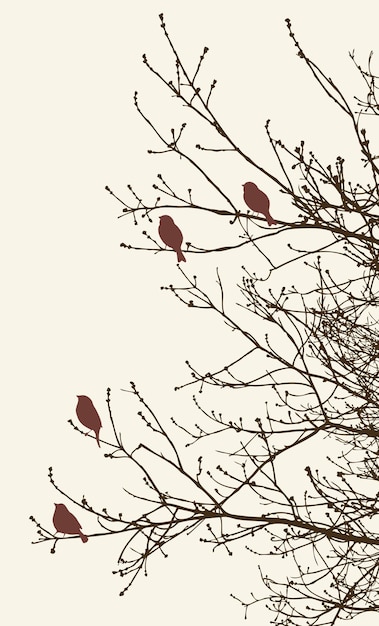 Pájaros en las ramas de los árboles en primavera