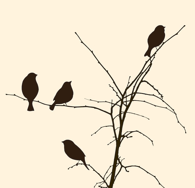Vector pájaros en las ramas de los árboles