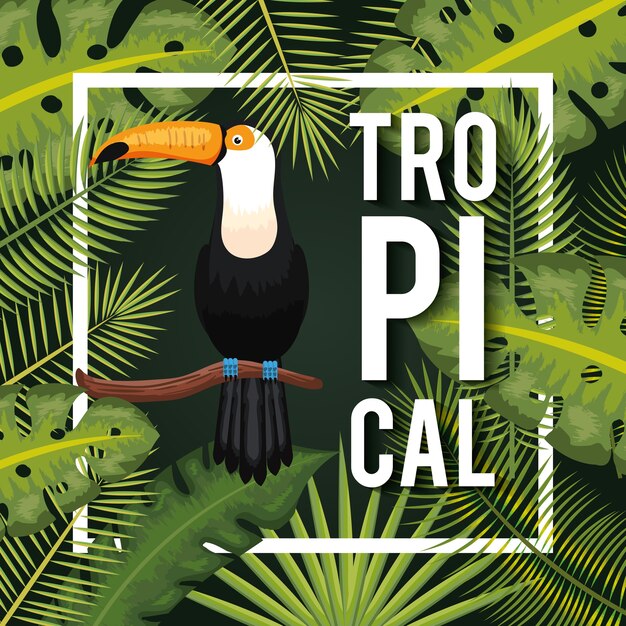 Pájaros tropicales