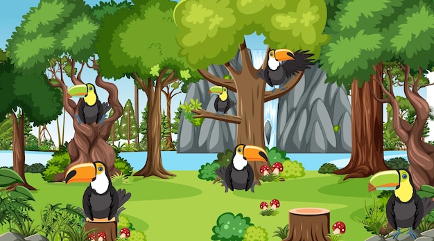 Pájaros tucán en la escena de la jungla.