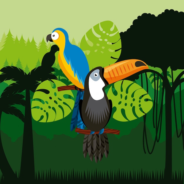 pájaros tucán y guacamayos