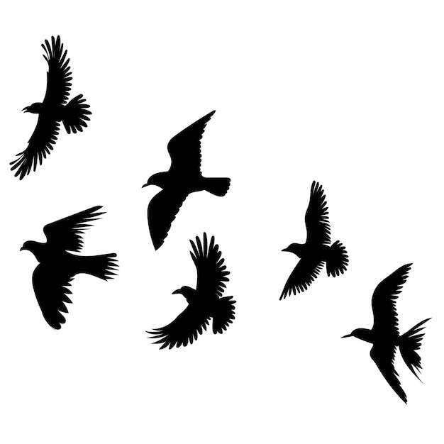 Pájaros volando silueta sobre fondo blanco vector aislado