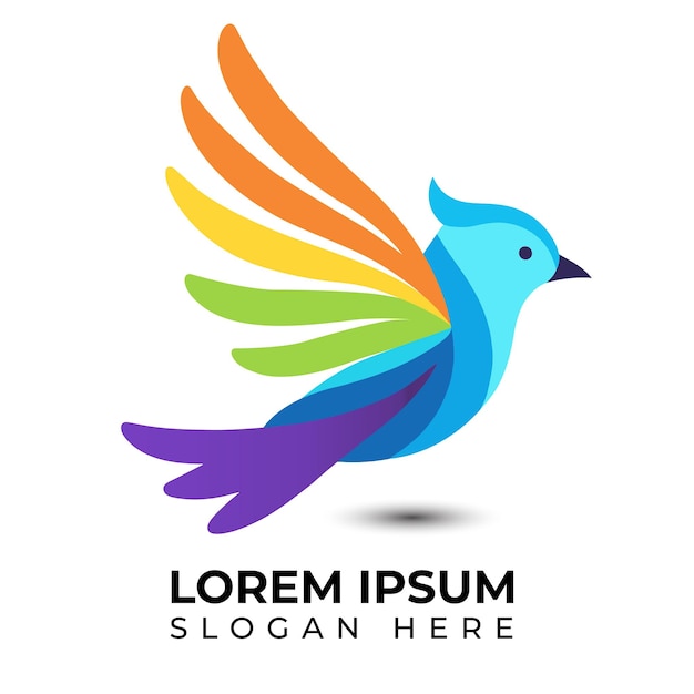 los pájaros vuelan 10