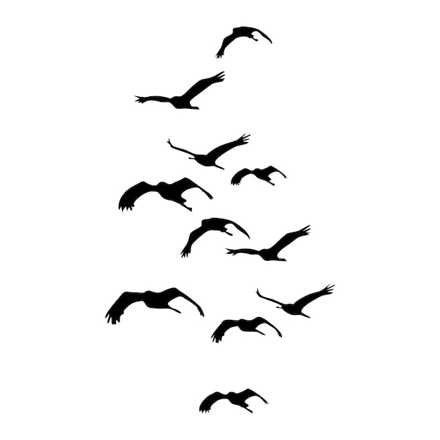 Los pájaros vuelan alto