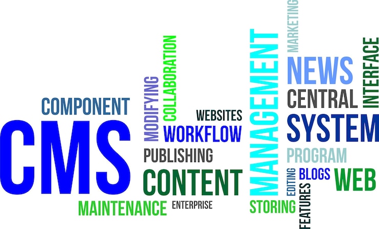 Vector palabra puede cms