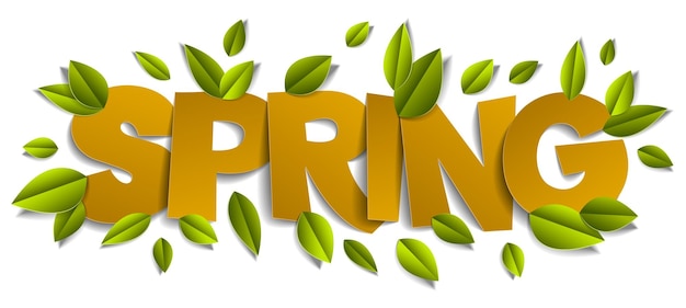 Palabra de recorte de primavera con hojas verdes frescas vector ilustración 3d de corte de papel de dibujos animados de estilo moderno.