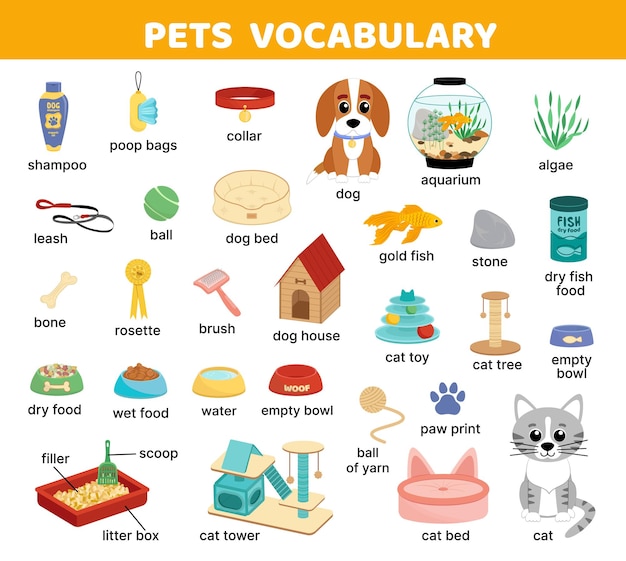 Palabras en inglés para mascotas Vocabulario Alfombra de palabras para mascotas Vector de dibujos animados planos
