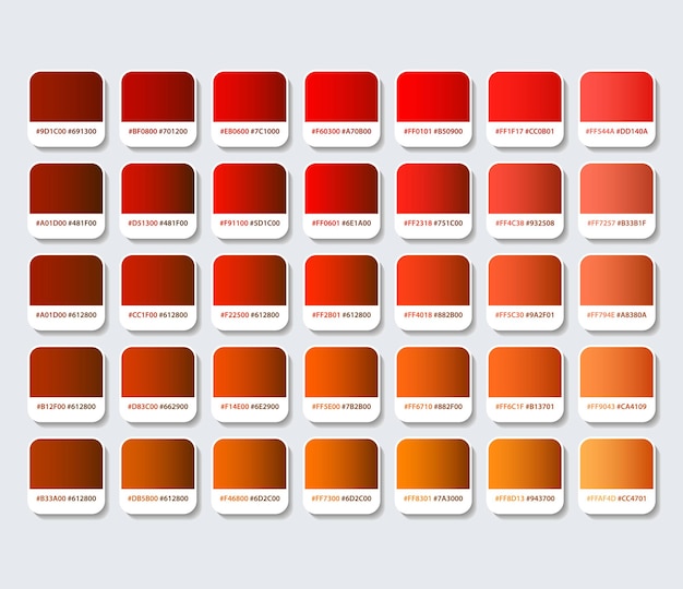 Vector paleta de colores marrón y naranja con hexágono