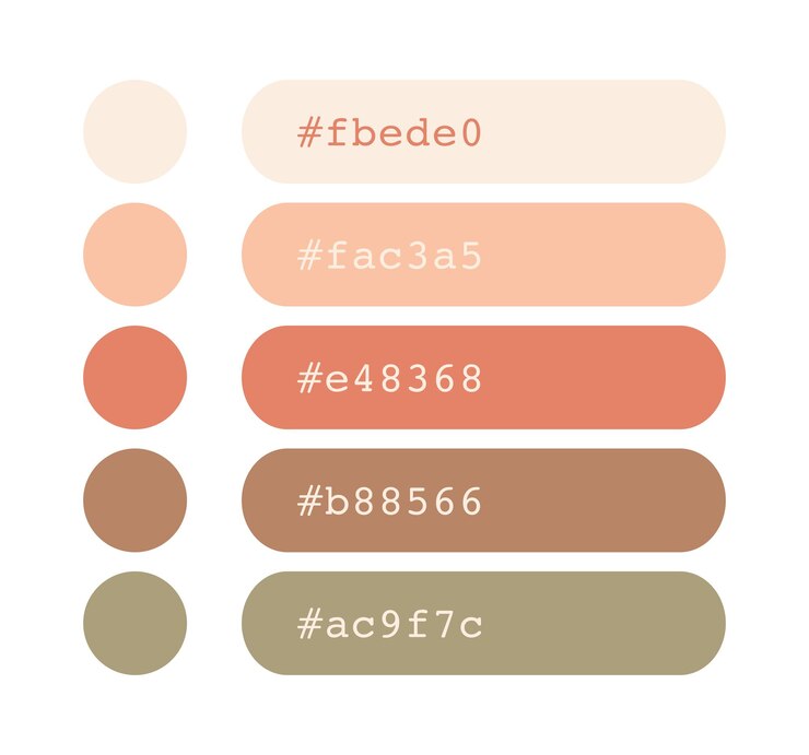 Vector paleta de colores rosa boho colores pastel terrosos catálogo de combinación de colores colores rgb cmyk paleta de colores armoniosos diseño de muestra y edición de idea con código hexadecimal