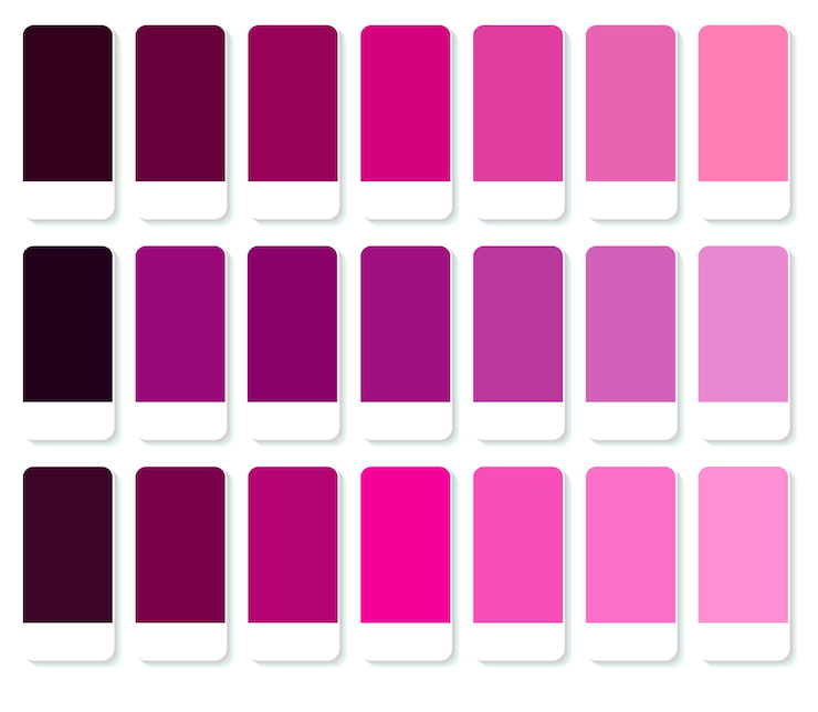 Vector paleta de colores rosa y púrpura