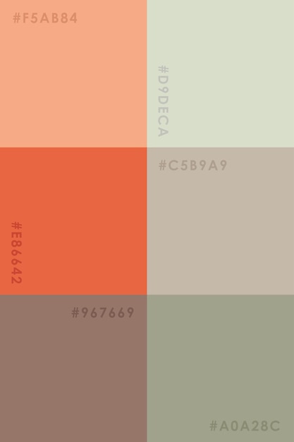 Paleta de colores