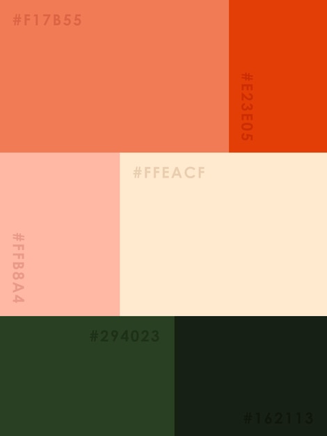 Paleta de colores