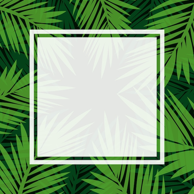 Vector palm pattern blank space for your content template