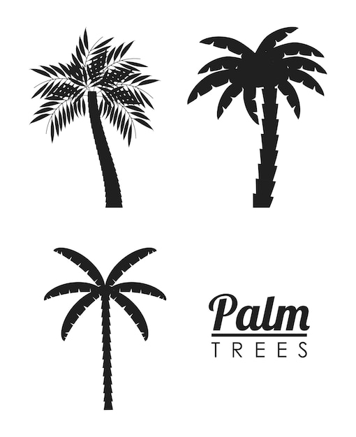 Palm tree tropical nature summer beach plant icon set