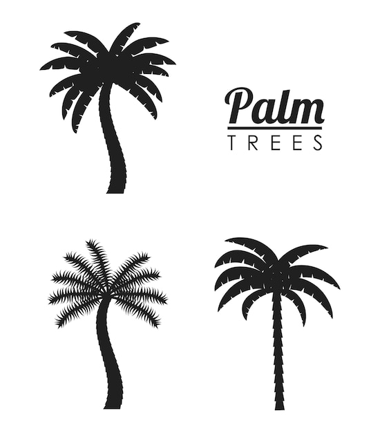 palm tree tropical nature summer beach plant icon set