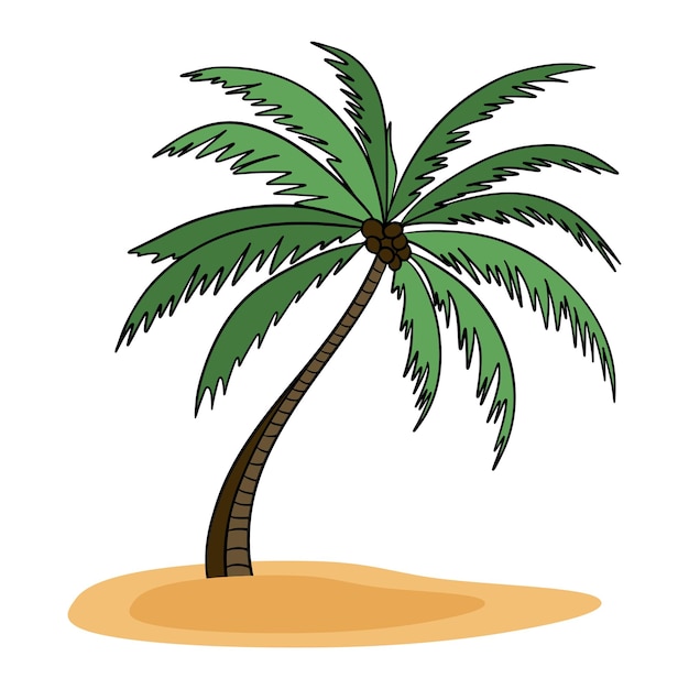 Palma en la playa de plantas de la isla tropical El verano en el paraíso La flora exótica