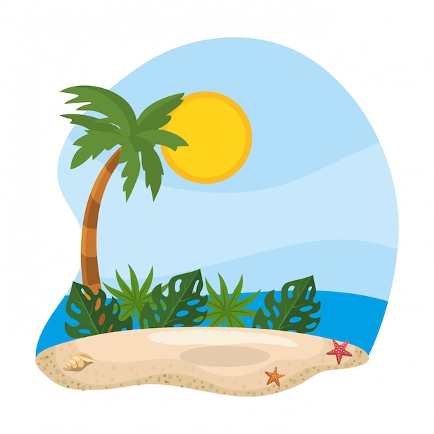 Palma de la temporada de verano